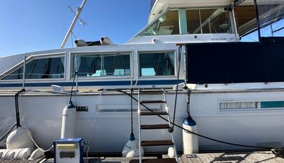 Sea Wolf For Sale image11