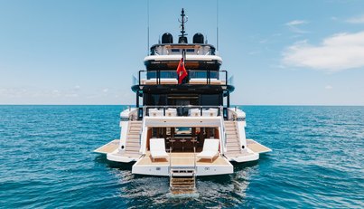 Half Irish For Sale image5