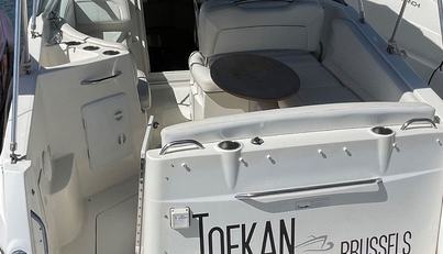 TOEKAN For Sale image2