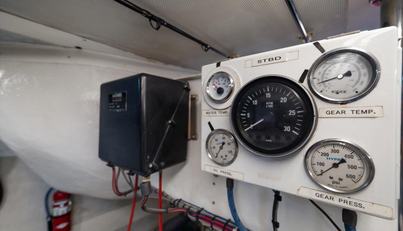 Octopi For Sale image23