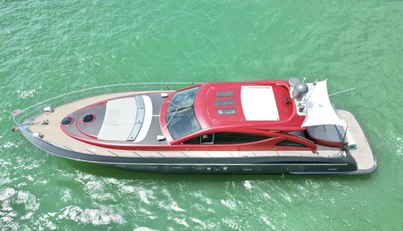 Notorius For Sale image13