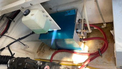 SeaHorse For Sale image31