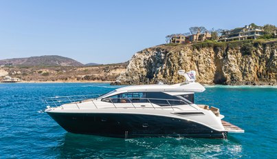Saw Sea IIII For Sale image10