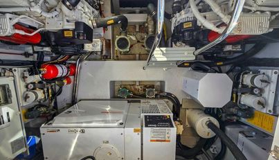 Rumble Bee For Sale image16