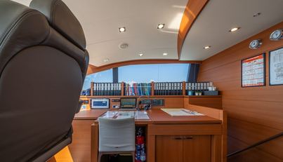 ARION For Sale image31