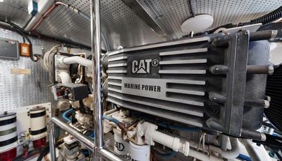 The Cotton Picker For Sale image61