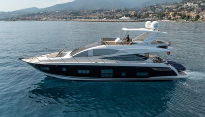 Luna of Chester For Sale image40