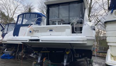 Dignity For Sale image10