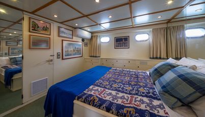 Kalani For Sale image19
