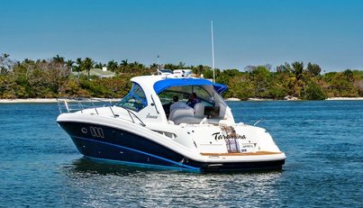Taramina For Sale image4