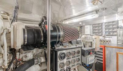 Tribeless For Sale image61