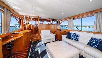 The Cotton Picker For Sale image30