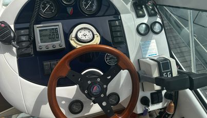 Alisma For Sale image16