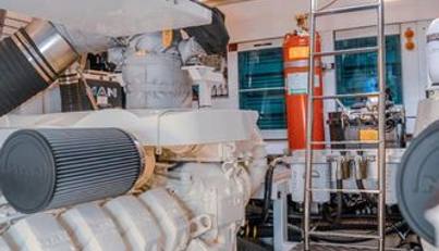 MishMish For Sale image50