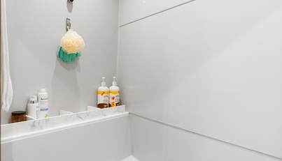 Tropical Dreamer For Sale image65