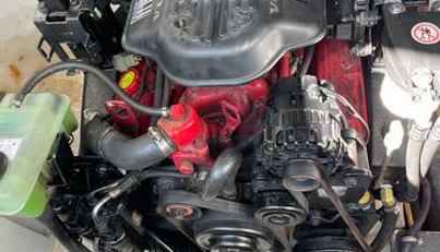 SEAHORSE For Sale image35