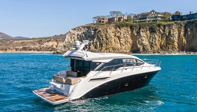 Saw Sea IIII For Sale image3