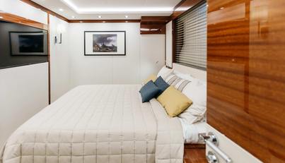 PAPILLON For Sale image12