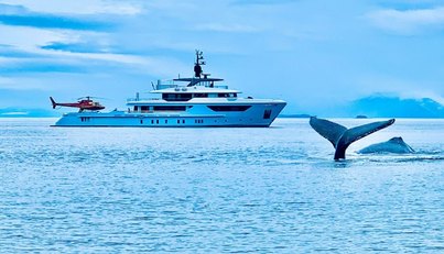 Oceandreamwalker III For Sale image1