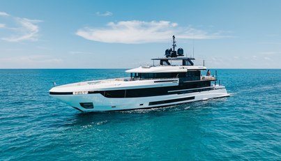 Half Irish For Sale image1