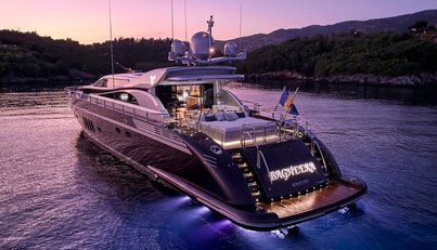 Bagheera For Sale image24