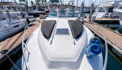 Sea Oddity For Sale image4