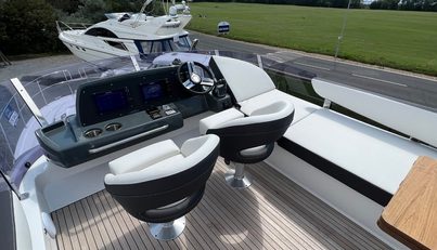 Mollie For Sale image11