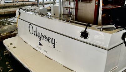 Odyssey For Sale image31