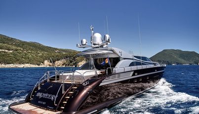Bagheera For Sale image35