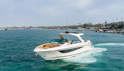 Ciao Bella For Sale image12