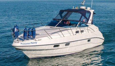 Princess Penny For Sale image14