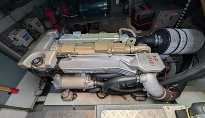 Lady Emily For Sale image20