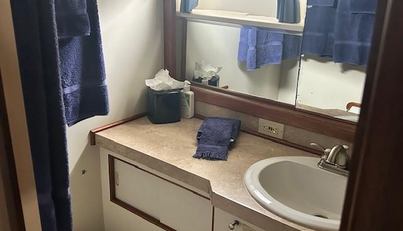 Day Light For Sale image31