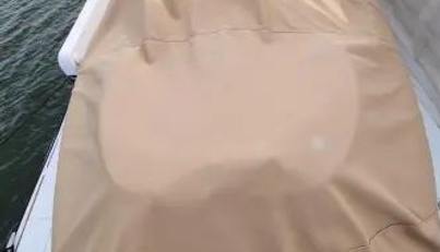 Dont Say No For Sale image78