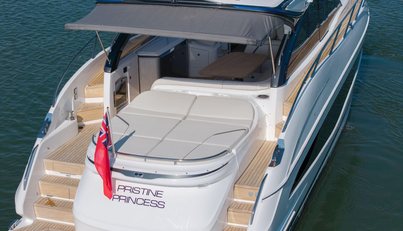 Pristine Princess For Sale image16