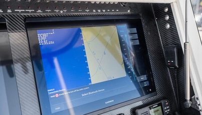 TAX MAN For Sale image22