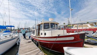 noname For Sale image12