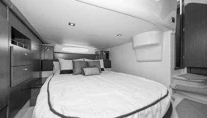 Gail’s Storm IV For Sale image72