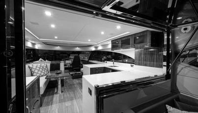 Greyhound For Sale image27