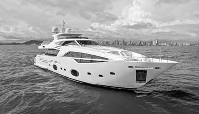 SHA SHA SHA IV For Sale image10