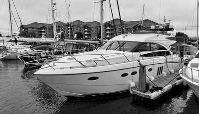 noname For Sale image81