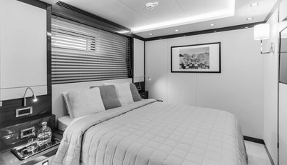 PAPILLON For Sale image10