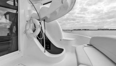 MR. BLUE SKY For Sale image35