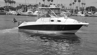 Delfini For Sale image10