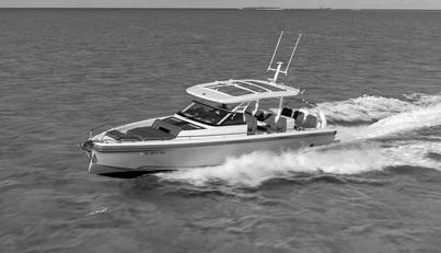 SAFE HAVEN For Sale image29