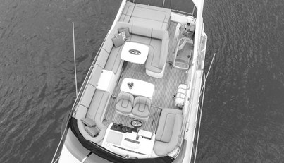 Enzo For Sale image98