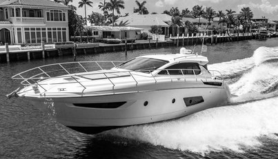 Endurance For Sale image2