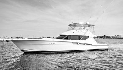 noname For Sale image1