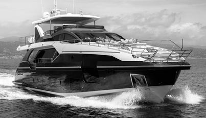 noname For Sale image1