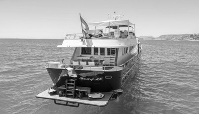 SPIRIT OF MK For Sale image30